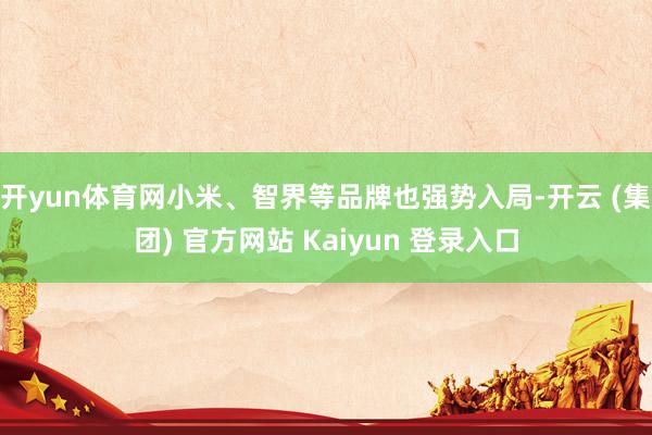 开yun体育网小米、智界等品牌也强势入局-开云 (集团) 官方网站 Kaiyun 登录入口