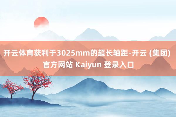 开云体育获利于3025mm的超长轴距-开云 (集团) 官方网站 Kaiyun 登录入口