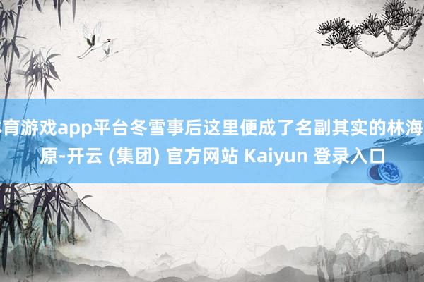 体育游戏app平台冬雪事后这里便成了名副其实的林海雪原-开云 (集团) 官方网站 Kaiyun 登录入口