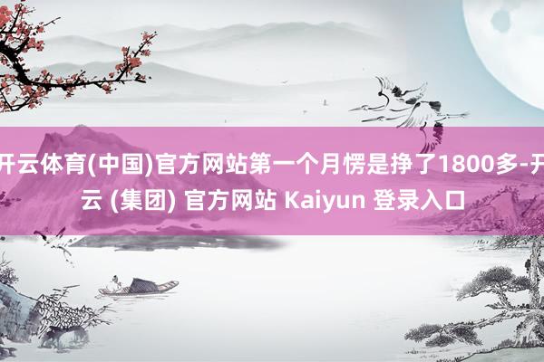 开云体育(中国)官方网站第一个月愣是挣了1800多-开云 (集团) 官方网站 Kaiyun 登录入口