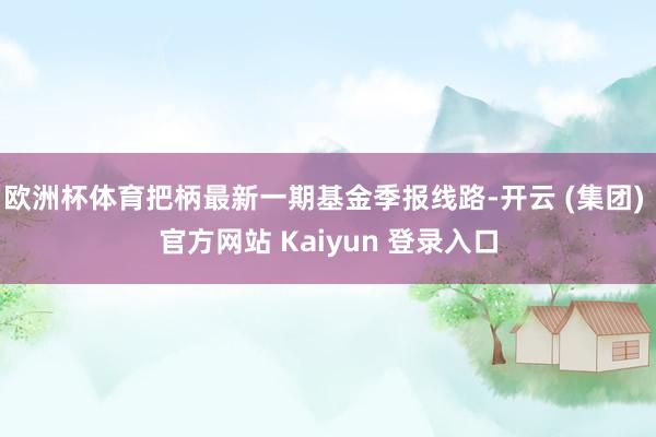 欧洲杯体育把柄最新一期基金季报线路-开云 (集团) 官方网站 Kaiyun 登录入口