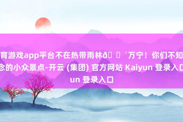 体育游戏app平台不在热带雨林🌴万宁！你们不知说念的小众景点-开云 (集团) 官方网站 Kaiyun 登录入口