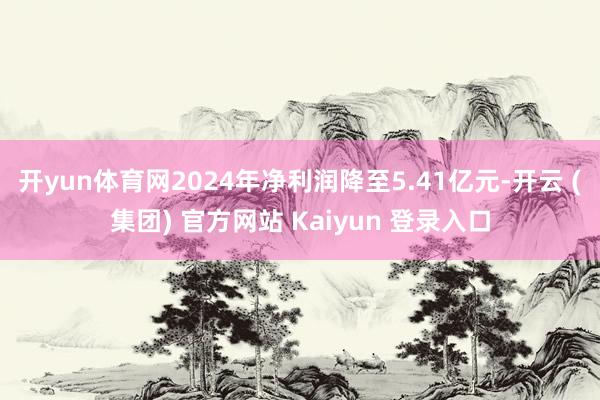 开yun体育网2024年净利润降至5.41亿元-开云 (集团) 官方网站 Kaiyun 登录入口