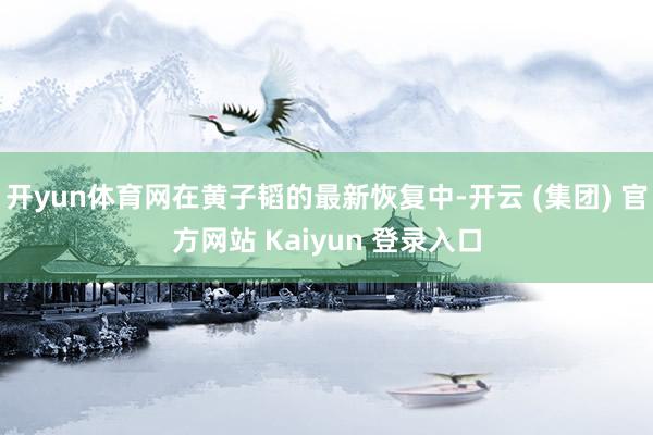 开yun体育网在黄子韬的最新恢复中-开云 (集团) 官方网站 Kaiyun 登录入口