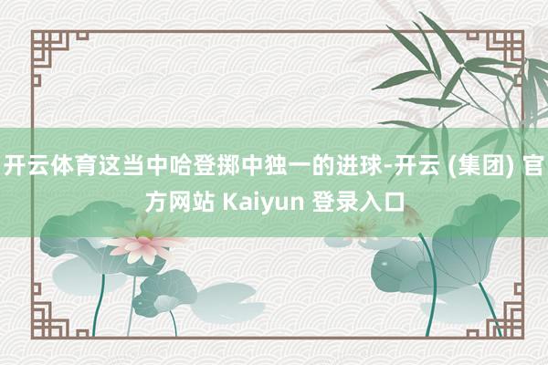 开云体育这当中哈登掷中独一的进球-开云 (集团) 官方网站 Kaiyun 登录入口