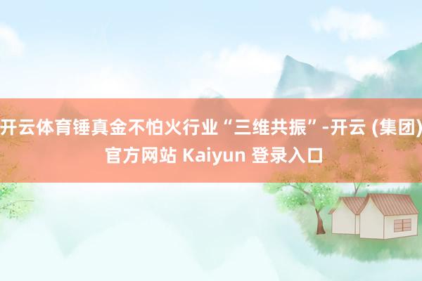 开云体育锤真金不怕火行业“三维共振”-开云 (集团) 官方网站 Kaiyun 登录入口