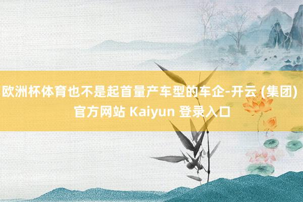 欧洲杯体育也不是起首量产车型的车企-开云 (集团) 官方网站 Kaiyun 登录入口