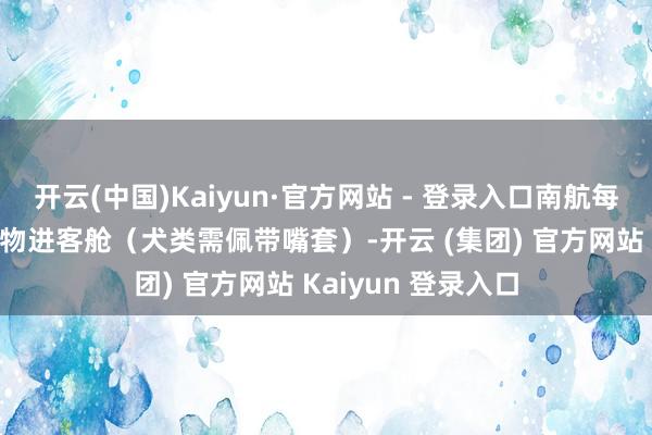开云(中国)Kaiyun·官方网站 - 登录入口南航每架航班允许4只宠物进客舱（犬类需佩带嘴套）-开云 (集团) 官方网站 Kaiyun 登录入口
