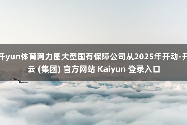 开yun体育网力图大型国有保障公司从2025年开动-开云 (集团) 官方网站 Kaiyun 登录入口
