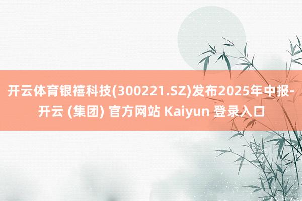 开云体育银禧科技(300221.SZ)发布2025年中报-开云 (集团) 官方网站 Kaiyun 登录入口
