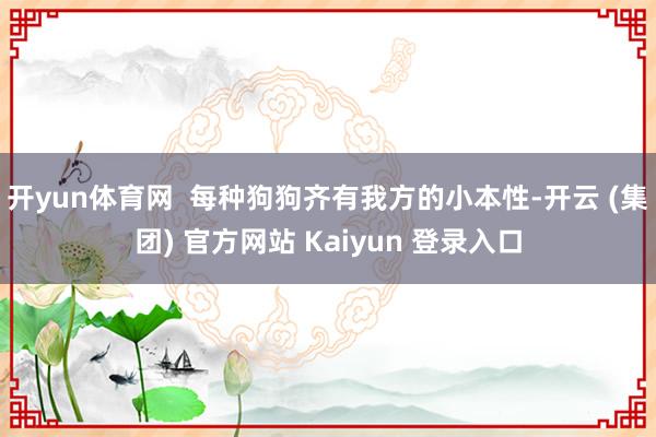 开yun体育网  每种狗狗齐有我方的小本性-开云 (集团) 官方网站 Kaiyun 登录入口