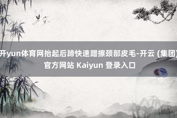 开yun体育网抬起后蹄快速蹭擦颈部皮毛-开云 (集团) 官方网站 Kaiyun 登录入口