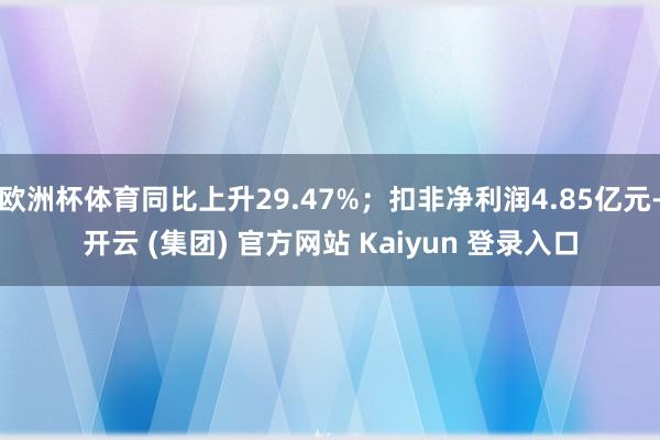 欧洲杯体育同比上升29.47%；扣非净利润4.85亿元-开云 (集团) 官方网站 Kaiyun 登录入口