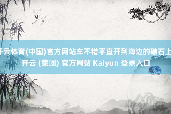 开云体育(中国)官方网站车不错平直开到海边的礁石上-开云 (集团) 官方网站 Kaiyun 登录入口