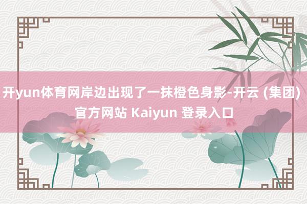 开yun体育网岸边出现了一抹橙色身影-开云 (集团) 官方网站 Kaiyun 登录入口