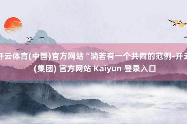 开云体育(中国)官方网站“淌若有一个共同的范例-开云 (集团) 官方网站 Kaiyun 登录入口