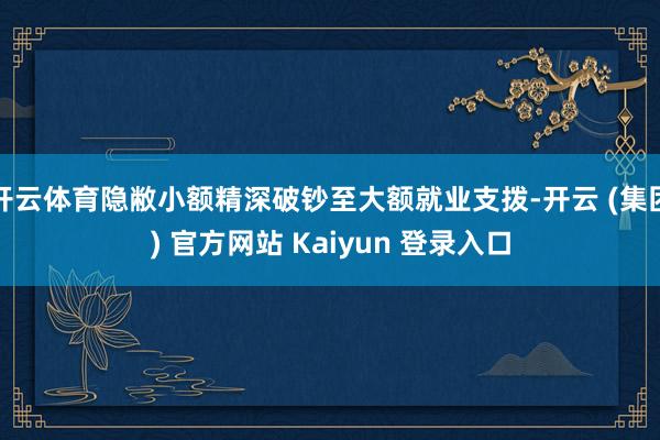 开云体育隐敝小额精深破钞至大额就业支拨-开云 (集团) 官方网站 Kaiyun 登录入口